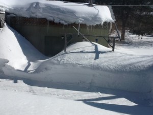 A winter scene in Spring